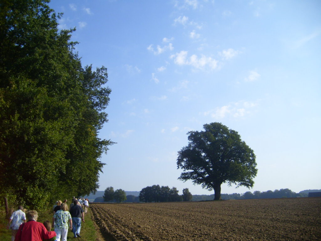 Exkursion zu Upmeiers Eiche bei Melle (Foto: Korff)