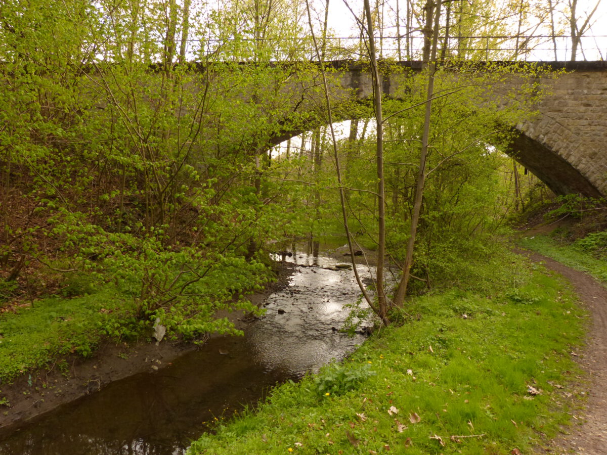 Baderbach-Aue in Bielefeld